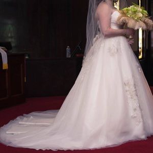 Wedding dress/corset/veil